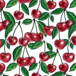 Red cherries with green leaves on white