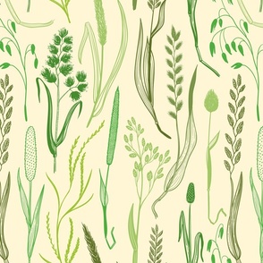 Wild grasses 