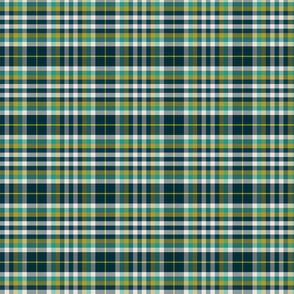 Plaid Blue and Greens Small