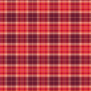 Plaid Red and Pinks Small