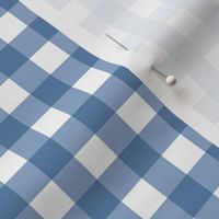 Blue Gingham - Medium Scale