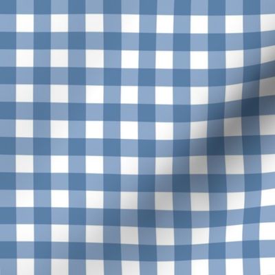 Blue Gingham - Medium Scale