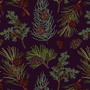 Pines on Purple