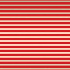Stamped - Skinny Stripes - Horizontal - Election Poster 1