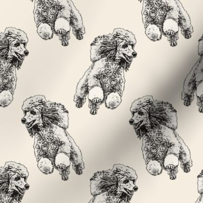 Leaping Toy Poodle - sepia