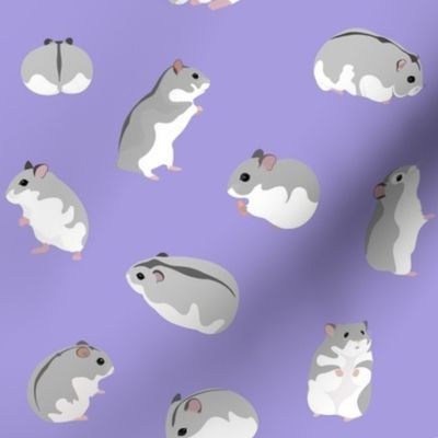 Dwarf Hamsters on Lilac - Medium Scale