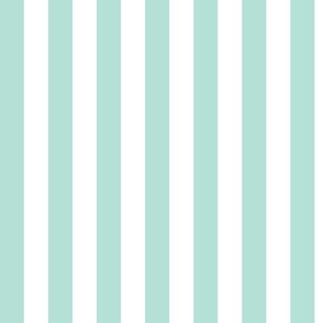 Pastel Mint Awning Stripe Pattern Vertical in White