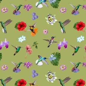 Hummingbird garden - Sage green