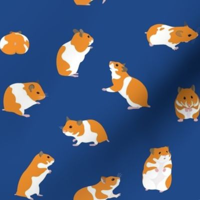 Golden Hamsters on Blue - medium scale 