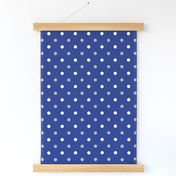 Blue and Silver Polka Dot 2