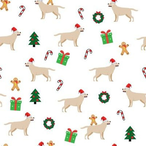 Yellow Labrador retriever dog  Christmas White Background