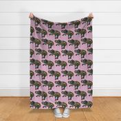 asian elephant pink I