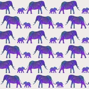 Follow The Leader - Elephant Pattern - Tiny