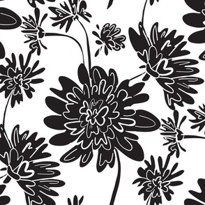 Flower Chamomile Black outline black white 
