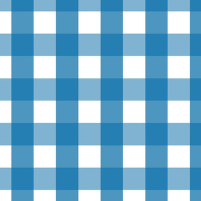 gingham 2in royal blue