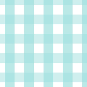 gingham 2in light teal