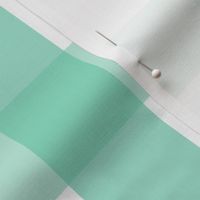 gingham 2in sea foam green