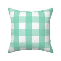 gingham 2in sea foam green