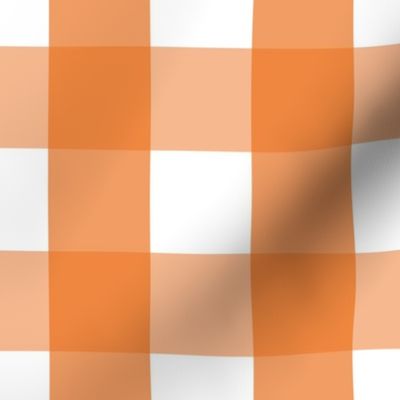 gingham 2in orange