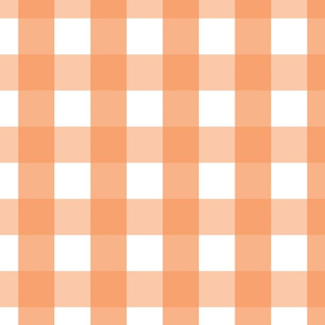 gingham 2in tangerine orange