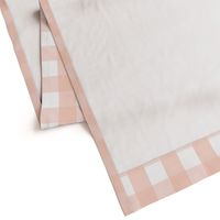 gingham 2in blush pink