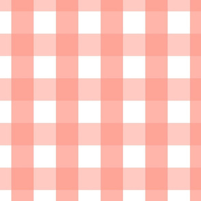 gingham 2in peach