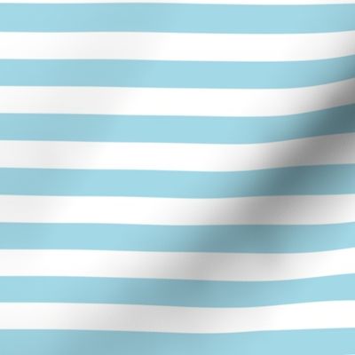 Arctic Blue Awning Stripe Pattern in Horizontal in White