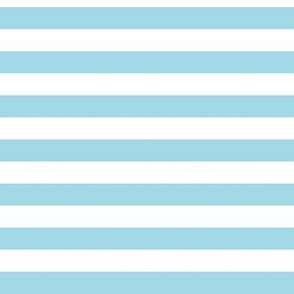 Arctic Blue Awning Stripe Pattern in Horizontal in White