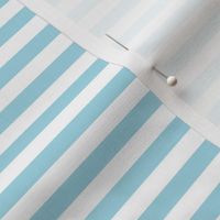 Arctic Blue Bengal Stripe Pattern in Horizontal in White