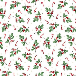 BKRD Holly Jolly Mistletoe 5x5