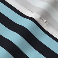 Arctic Blue Awning Stripe Pattern Vertical in Midnight Black