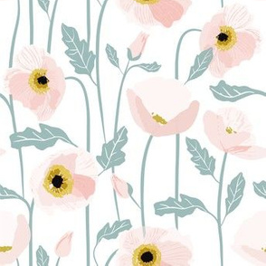 Pink Pastel Poppies on White Background