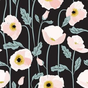 3Pink Pastel Poppies on Black Background