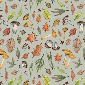 gifts of fall forest with sage background