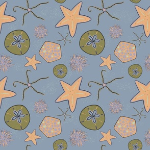 Sea stars and urchin echinoderm ocean print dark blue