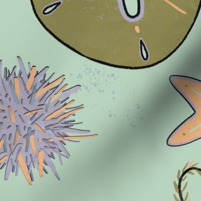 Sea stars and urchin echinoderm ocean print