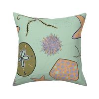 Sea stars and urchin echinoderm ocean print