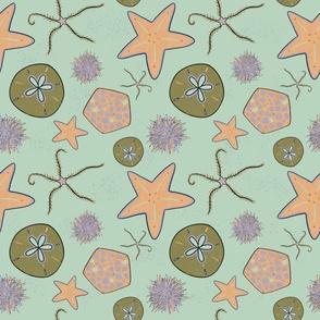 Sea stars and urchin echinoderm ocean print