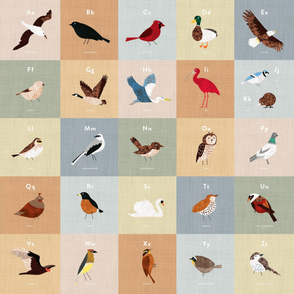 An Alphabet of Birds 36"x36" Block - Type Text