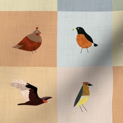 An Alphabet of Birds 18" x18" block - No Text