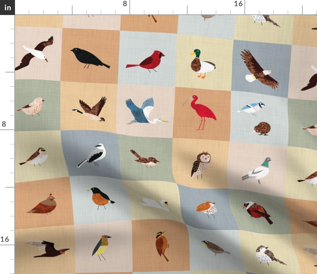 An Alphabet of Birds 18" x18" block - No Text