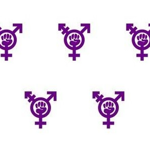 Transfeminism purple