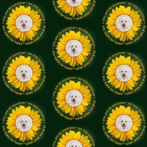 Sunflower Poodle