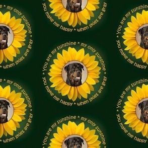 Sunflower Rottweiler