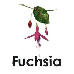 fuschia  - 6" Panel