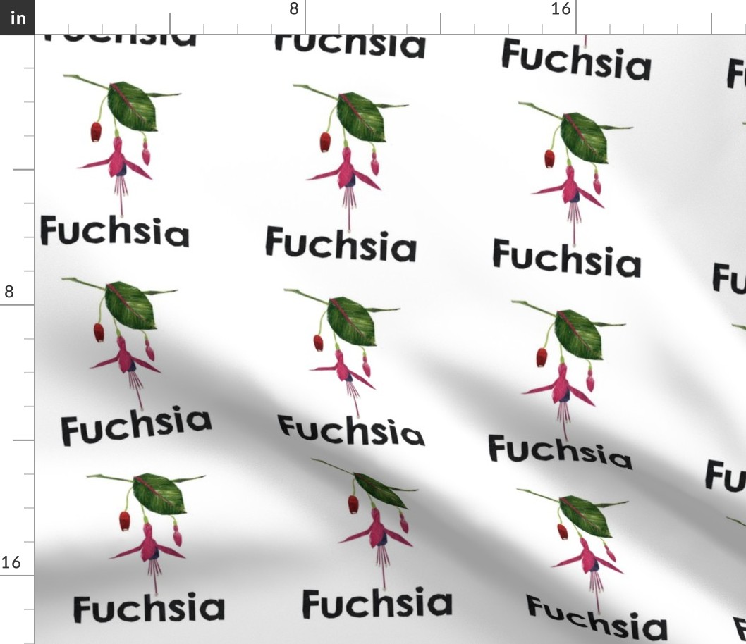 fuschia  - 6" Panel