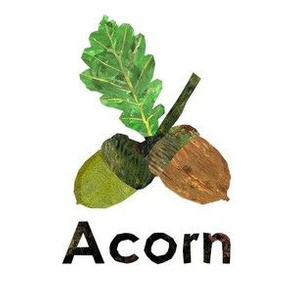 acorn  - 6" Panel