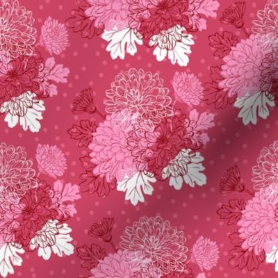 Decorative chrysanthemum - pink mauve