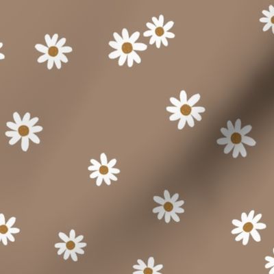 23-9 daisies
