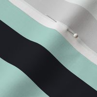 Large Pastel Mint Awning Stripe Pattern Vertical in Midnight Black